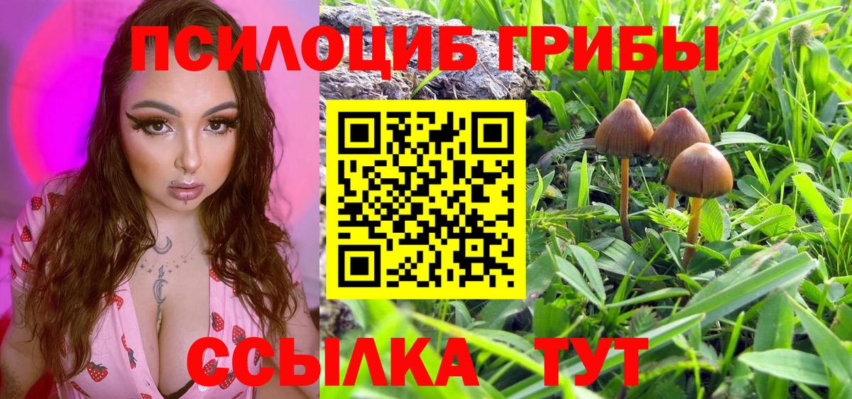 Галлюциногенные грибы Magic Shrooms Минеральные Воды