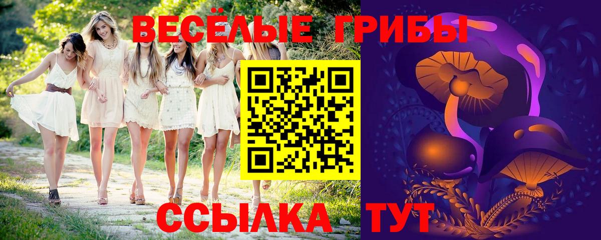 Псилоцибиновые грибы Cubensis  Псилоцибиновые грибы мицелий  Вход с VPN  Минеральные Воды 